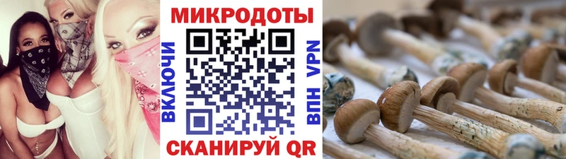 Псилоцибиновые грибы мухоморы  ссылка на мегу сайт  Рыльск 