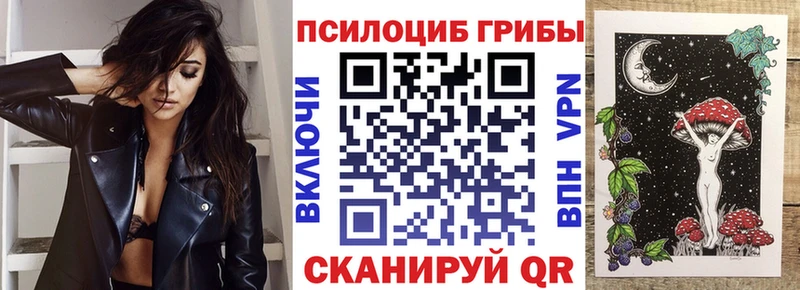 Псилоцибиновые грибы Cubensis Рыльск
